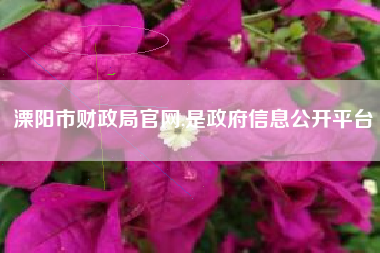 溧阳市财政局官网,是政府信息公开平台