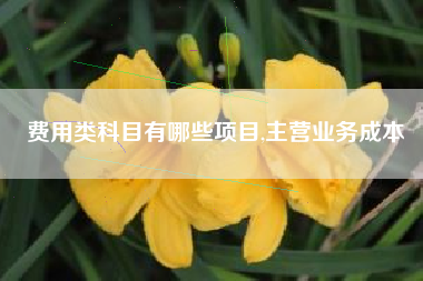 费用类科目有哪些项目,主营业务成本