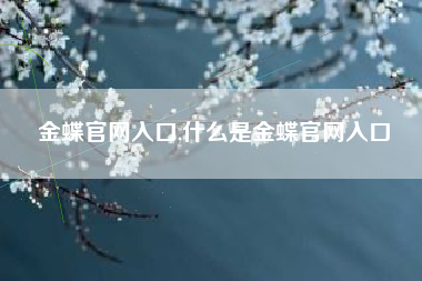 金蝶官网入口,什么是金蝶官网入口
