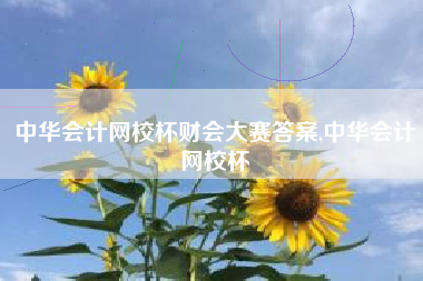 中华会计网校杯财会大赛答案,中华会计网校杯
