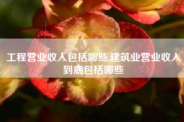 工程营业收入包括哪些,建筑业营业收入到底包括哪些