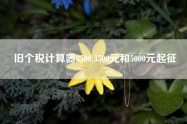 旧个税计算器3500,3500元和5000元起征