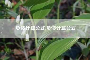 负债计算公式,负债计算公式