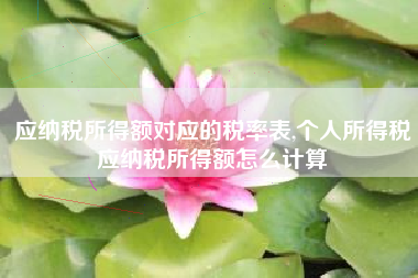 应纳税所得额对应的税率表,个人所得税应纳税所得额怎么计算