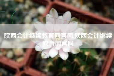 陕西会计继续教育网官网,陕西会计继续教育网官网