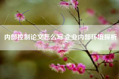 内部控制论文怎么写,企业内部环境探析