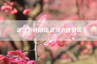 武汉会计培训,武汉会计培训