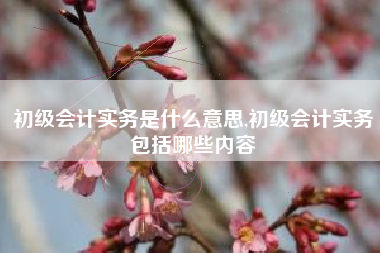 初级会计实务是什么意思,初级会计实务包括哪些内容
