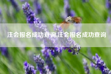 注会报名成功查询,注会报名成功查询