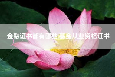 金融证书都有哪些,基金从业资格证书