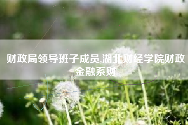 财政局领导班子成员,湖北财经学院财政金融系财
