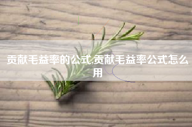 贡献毛益率的公式,贡献毛益率公式怎么用