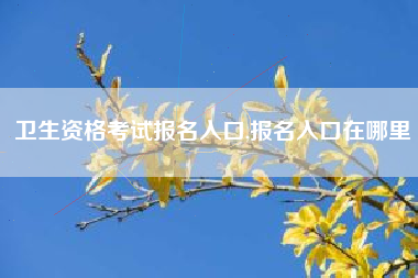 卫生资格考试报名入口,报名入口在哪里