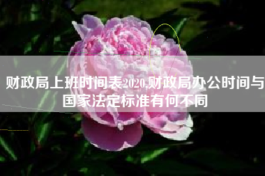 财政局上班时间表2020,财政局办公时间与国家法定标准有何不同