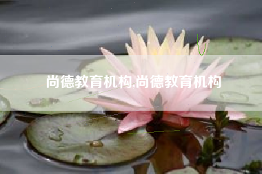 尚德教育机构,尚德教育机构