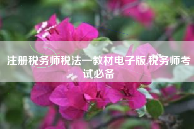 注册税务师税法一教材电子版,税务师考试必备