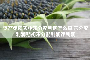 资产负债表中未分配利润怎么算,未分配利润期初未分配利润净利润