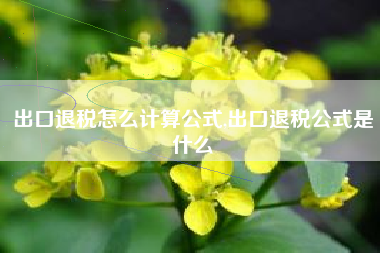 出口退税怎么计算公式,出口退税公式是什么