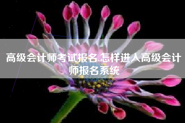 高级会计师考试报名,怎样进入高级会计师报名系统