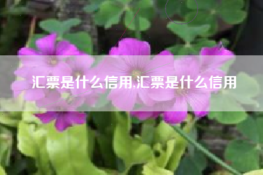 汇票是什么信用,汇票是什么信用