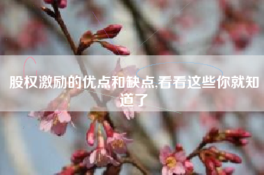 股权激励的优点和缺点,看看这些你就知道了
