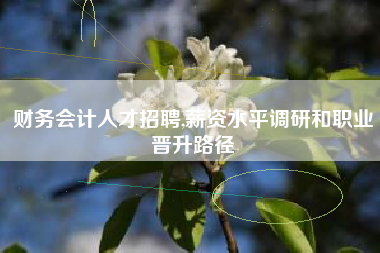 财务会计人才招聘,薪资水平调研和职业晋升路径