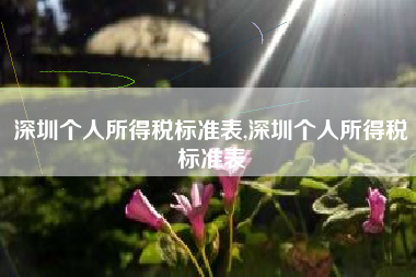 深圳个人所得税标准表,深圳个人所得税标准表