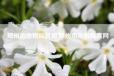 郑州市地税局官网,郑州市地税局官网