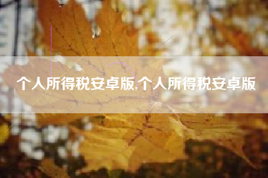 个人所得税安卓版,个人所得税安卓版