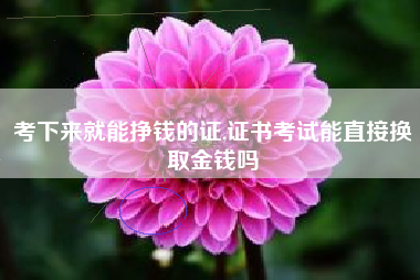 考下来就能挣钱的证,证书考试能直接换取金钱吗