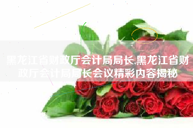 黑龙江省财政厅会计局局长,黑龙江省财政厅会计局局长会议精彩内容揭秘
