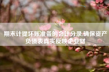 期末计提坏账准备的会计分录,确保资产负债表真实反映企业财
