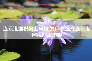 连云港国税网上申报,为什么选择连云港国税网上申报