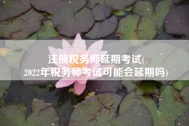 注册税务师延期考试(
2022年税务师考试可能会延期吗)