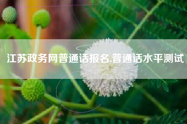江苏政务网普通话报名,普通话水平测试