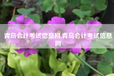 青岛会计考试信息网,青岛会计考试信息网