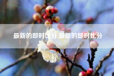 最新的即时比分,最新的即时比分