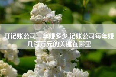 开记账公司一年赚多少,记账公司每年赚几百万元的关键在哪里
