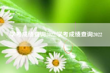学考成绩查询2022,学考成绩查询2022