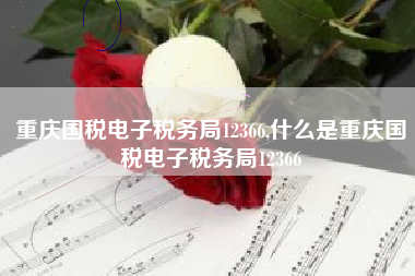重庆国税电子税务局12366,什么是重庆国税电子税务局12366