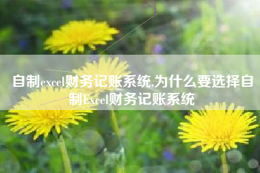 自制excel财务记账系统,为什么要选择自制Excel财务记账系统