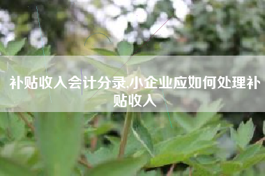 补贴收入会计分录,小企业应如何处理补贴收入