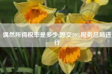 偶然所得税率是多少,想交20%税务总局进行