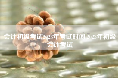 会计初级考试2023年考试时间,2023年初级会计考试