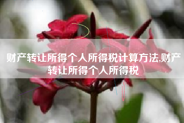财产转让所得个人所得税计算方法,财产转让所得个人所得税