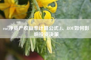 roe净资产收益率计算公式,1、ROE如何影响投资决策