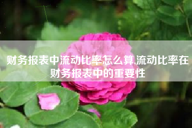 财务报表中流动比率怎么算,流动比率在财务报表中的重要性