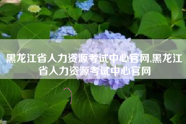 黑龙江省人力资源考试中心官网,黑龙江省人力资源考试中心官网