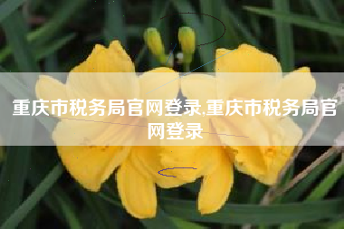 重庆市税务局官网登录,重庆市税务局官网登录