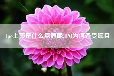 ipo上市是什么意思呢,IPO为何备受瞩目